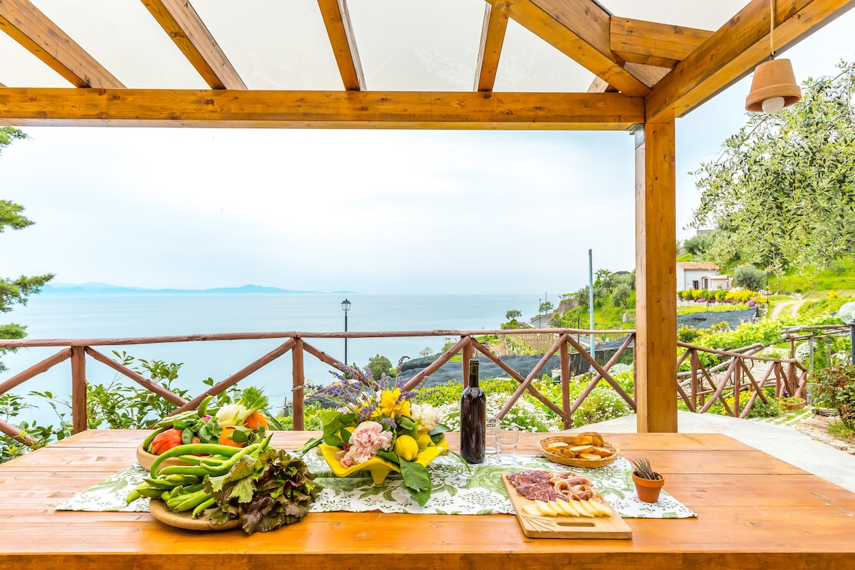 A wooden table is set outdoors under a wooden pergola, displaying a colorful assortment of fresh produce and local delicacies. The backdrop features a sweeping view of the serene Gulf, with greenery surrounding the area. Natural light gently illuminates the scene.