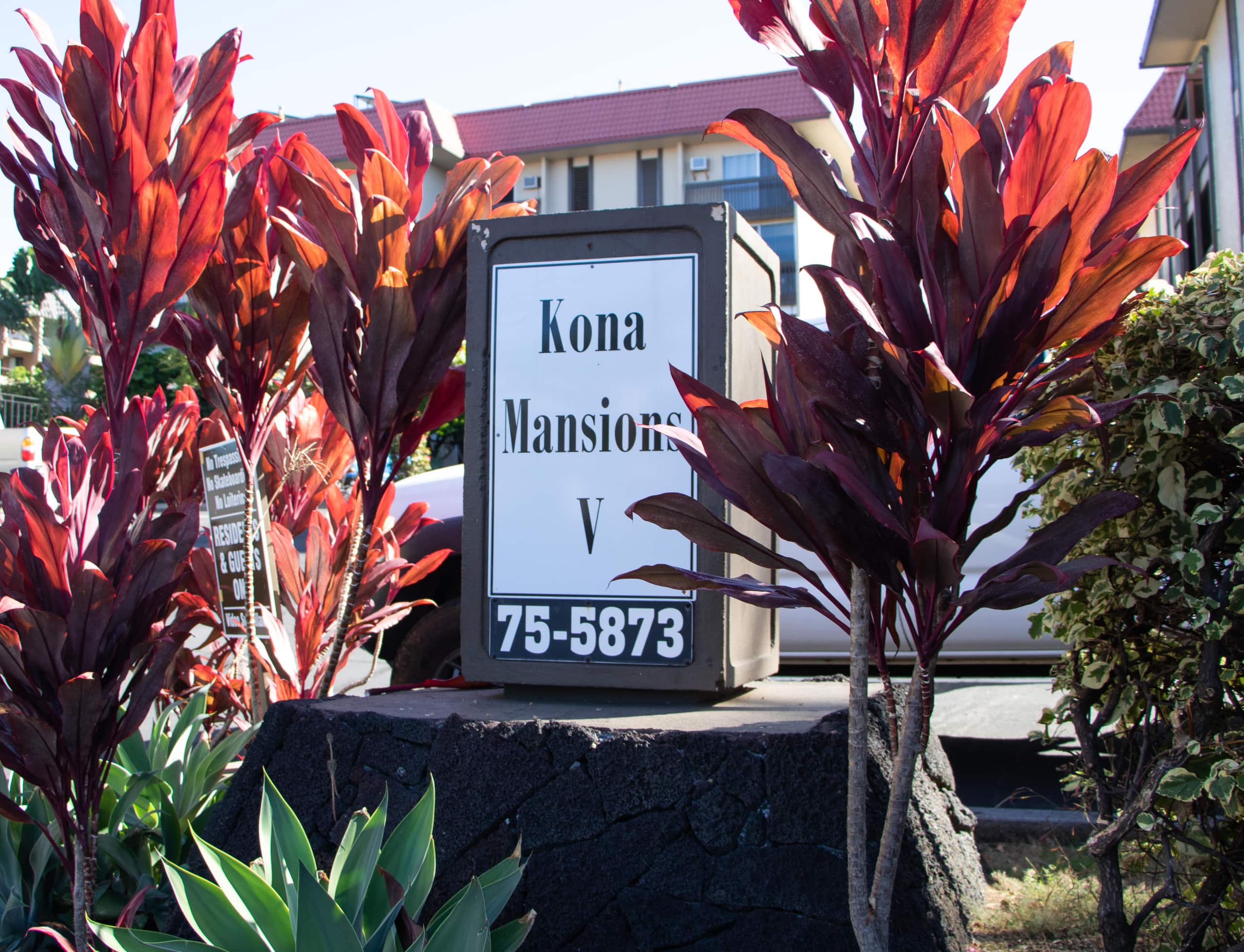 Condo in Kailua-Kona · ★4.9 · 1 bedroom · 1 bed · 1 bath - Image 34