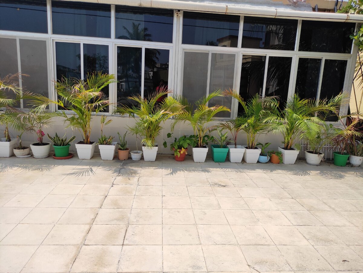 A series of potted plants in various sizes and colors line the spacious terrace. The plants are arranged neatly along a smooth tiled surface, with large windows offering ample natural light. Greenery brings a vibrant and refreshing touch to the outdoor space.