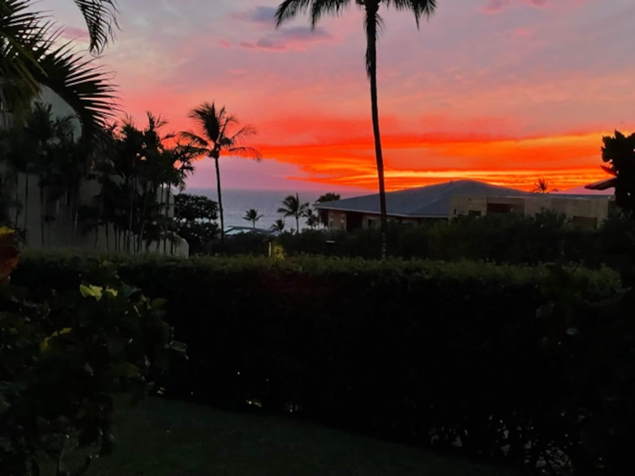 Condo in Kihei · ★4.92 · 1 bedroom · 1 bed · 2 private baths - Image 7
