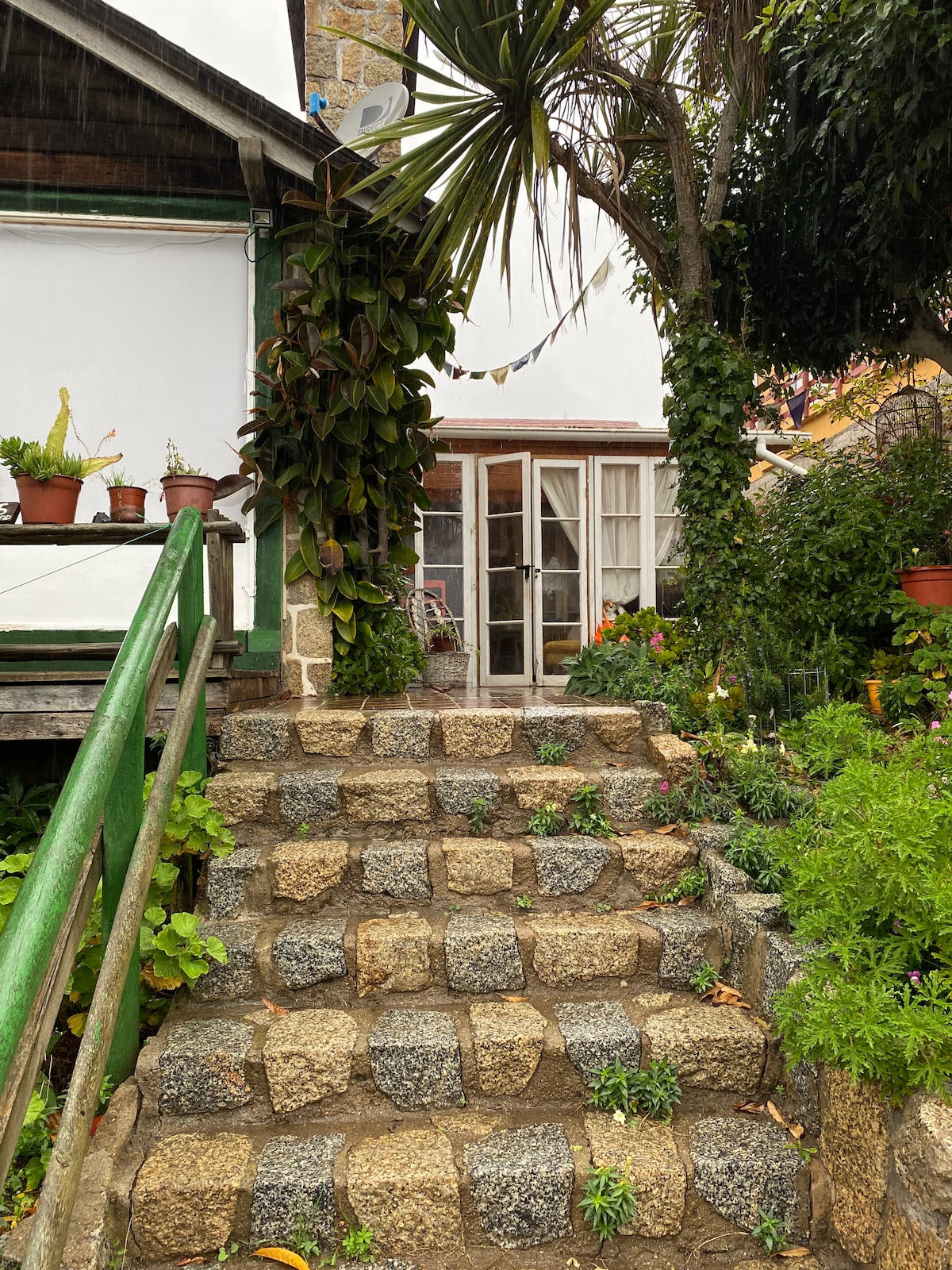 A stone staircase lined with greenery leads to a welcoming entrance. Plants in pots are arranged along the pathway, creating a natural frame. Light floods through the glass doors, hinting at a cozy interior beyond.