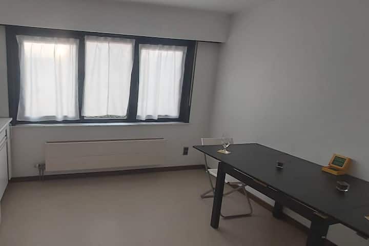 Safe & Spacious Condo In A Kangaroo House - Mechelen