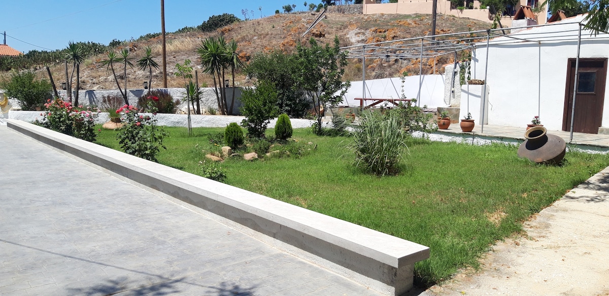 A shared garden is showcased with lush green grass and various plants. Flowerbeds are bordered by neatly trimmed bushes, and decorative pots are placed strategically. A spacious concrete pathway leads through the garden, enhancing accessibility and a serene outdoor environment.