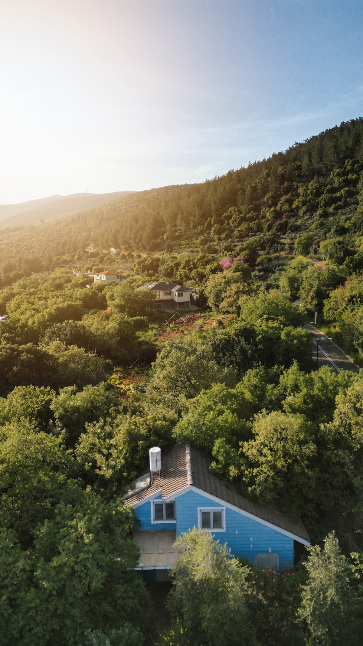 A panoramic view captures a blue house nestled among a lush landscape of trees and vegetation. The surrounding hills are visible, reflecting a warm, golden light from the setting sun, emphasizing the tranquil natural setting.