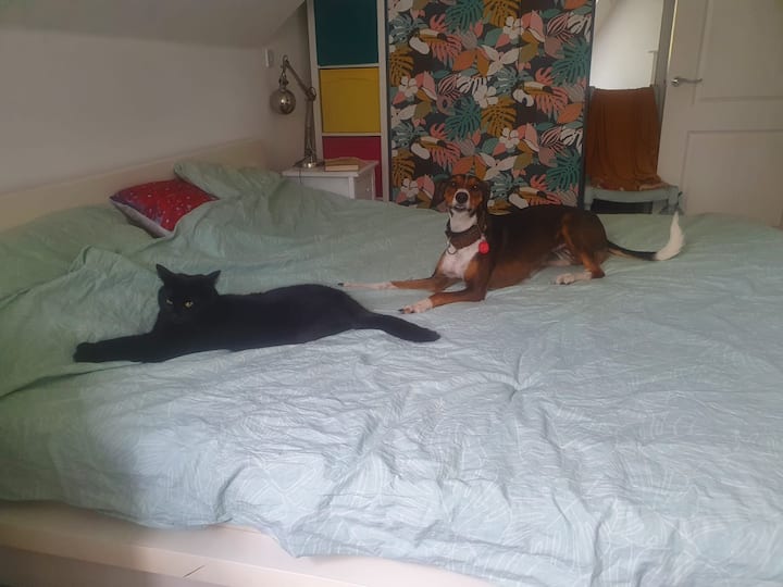 Spálňa