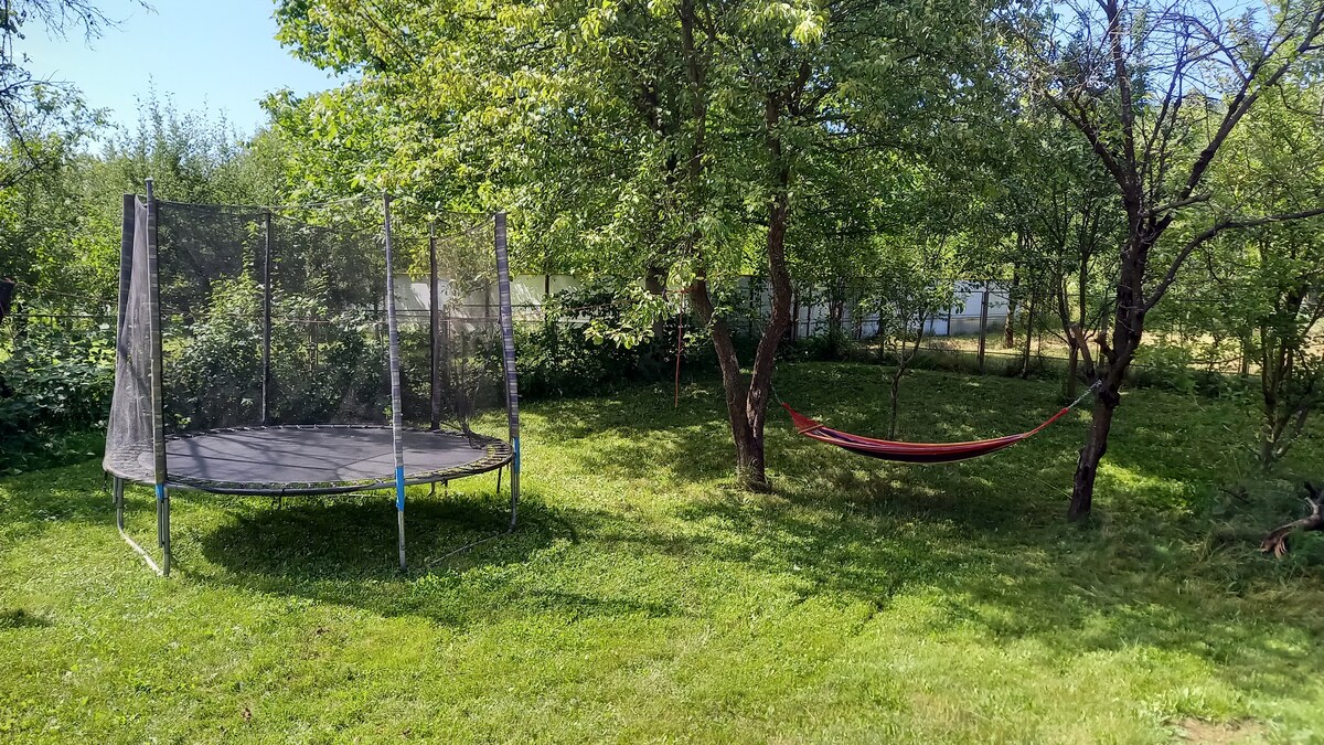 A spacious yard features a black trampoline surrounded by greenery and trees. Adjacent to the trampoline, a red hammock is suspended between two trees, providing a relaxing spot. The grassy area is well-kept, creating a safe play environment for children.