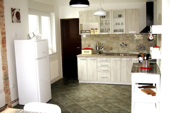 R&g Apartment:  Nice And Spacious Place - Radovljica