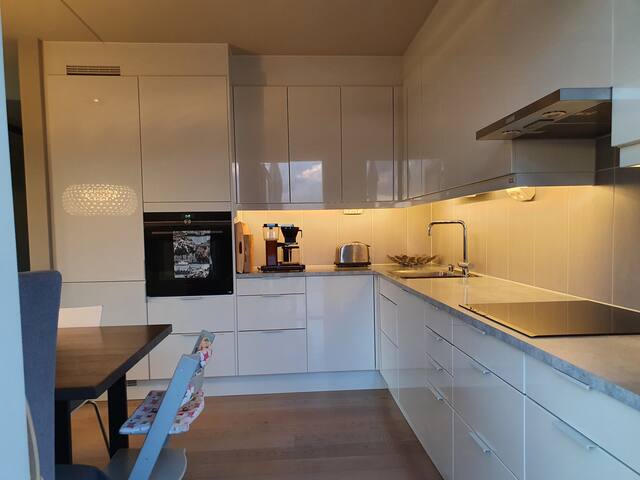 Penthouse (123 sqm + 50 sqm private terraces) gallery image 4