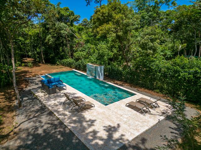 Watch Iguanas in the Trees from a Shaded Patio Hammock