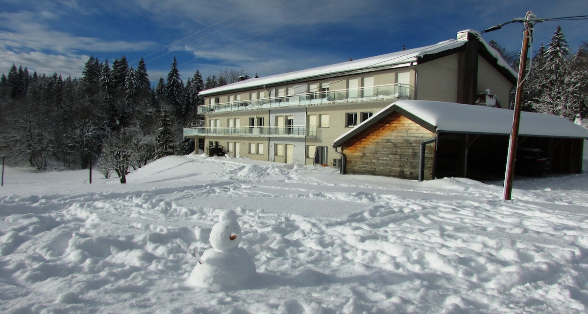 A snow-covered landscape features a multi-story residence set against a backdrop of trees. A snowman is positioned in the foreground, while the building's balconies overlook the serene winter surroundings.