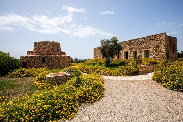 Villa Pierre gallery image 2