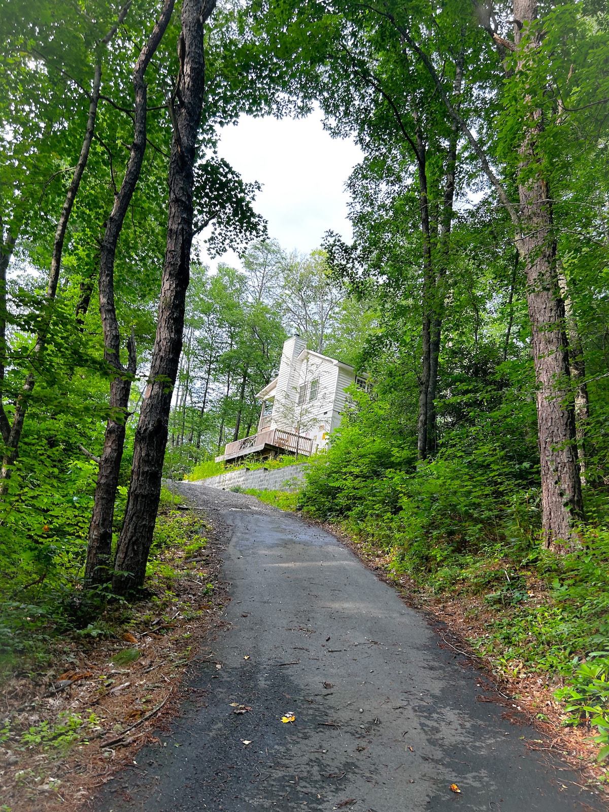 An inviting cabin is set atop a gentle hill, surrounded by lush greenery. A winding, paved driveway leads up to the home, framed by tall trees. The forested area provides a sense of seclusion, enhancing the peaceful atmosphere of the mountain retreat.