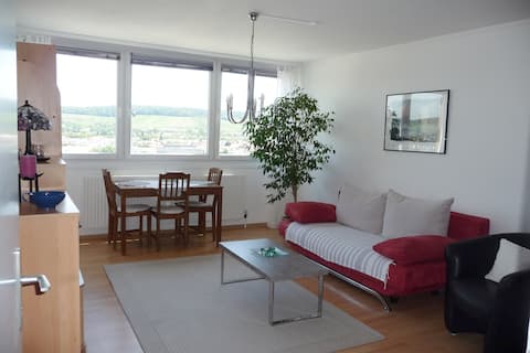 View - about the city and vineyards
