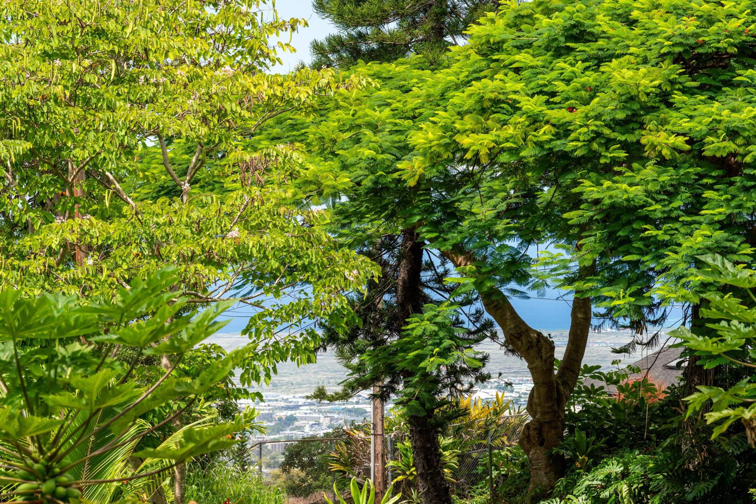 Zen Sanctuary, Jungle Vibes on Mountainside - Photo 41