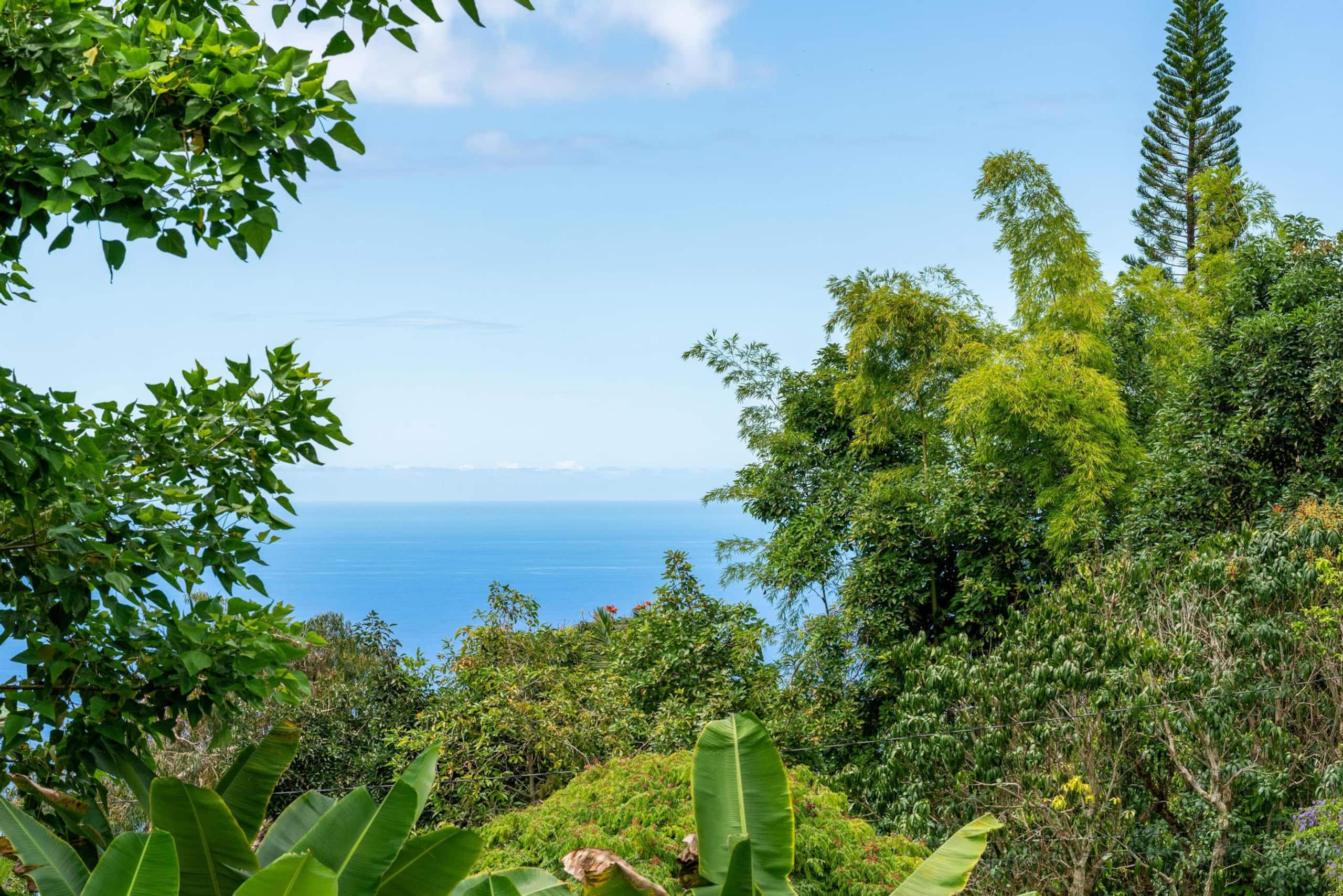 Zen Sanctuary, Jungle Vibes on Mountainside - Photo 39