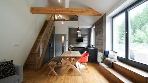 Top performing Airbnb: SKØG Harrachov appartment with large terrace in Tanvald