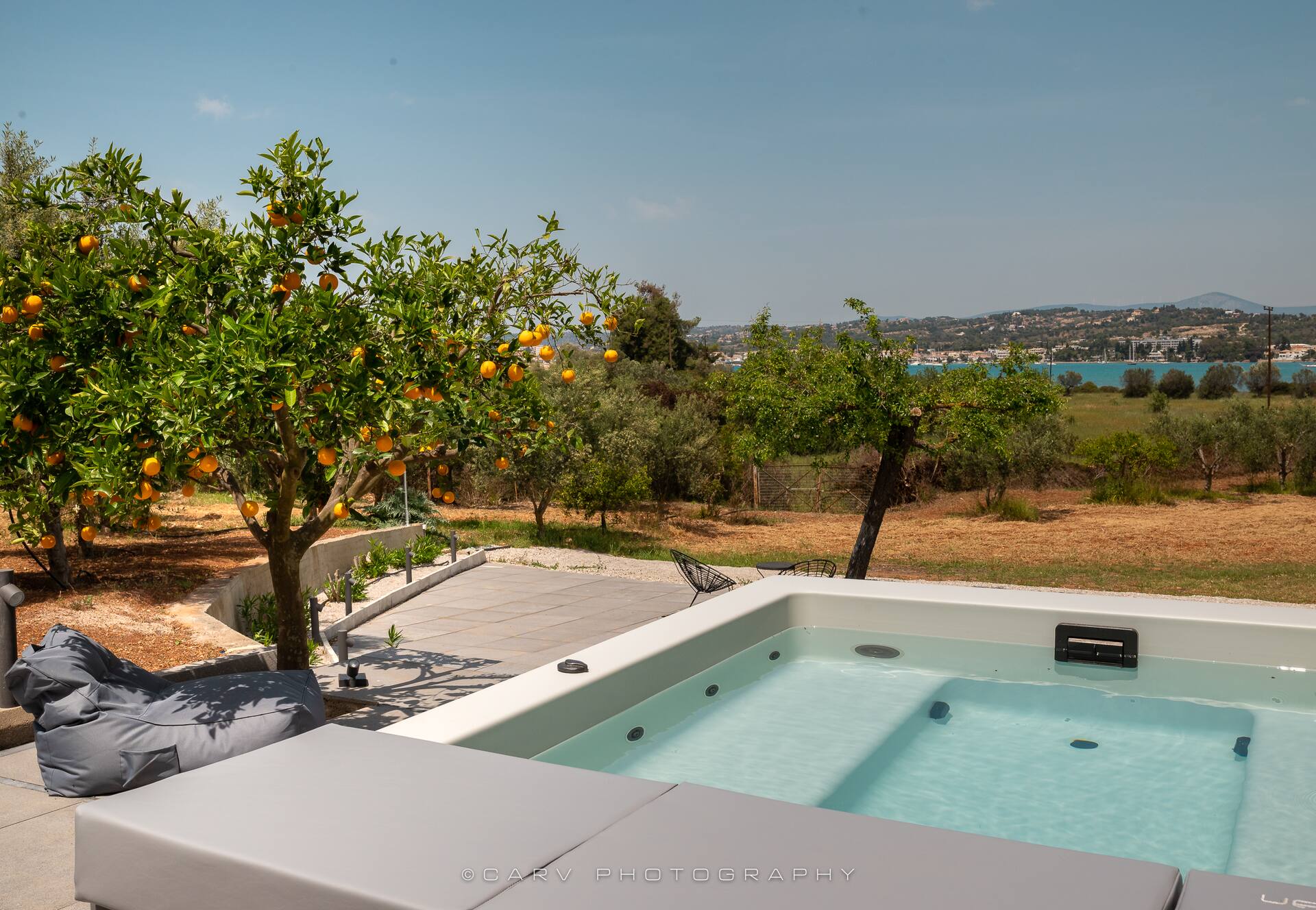 Orange Tree — photo 4