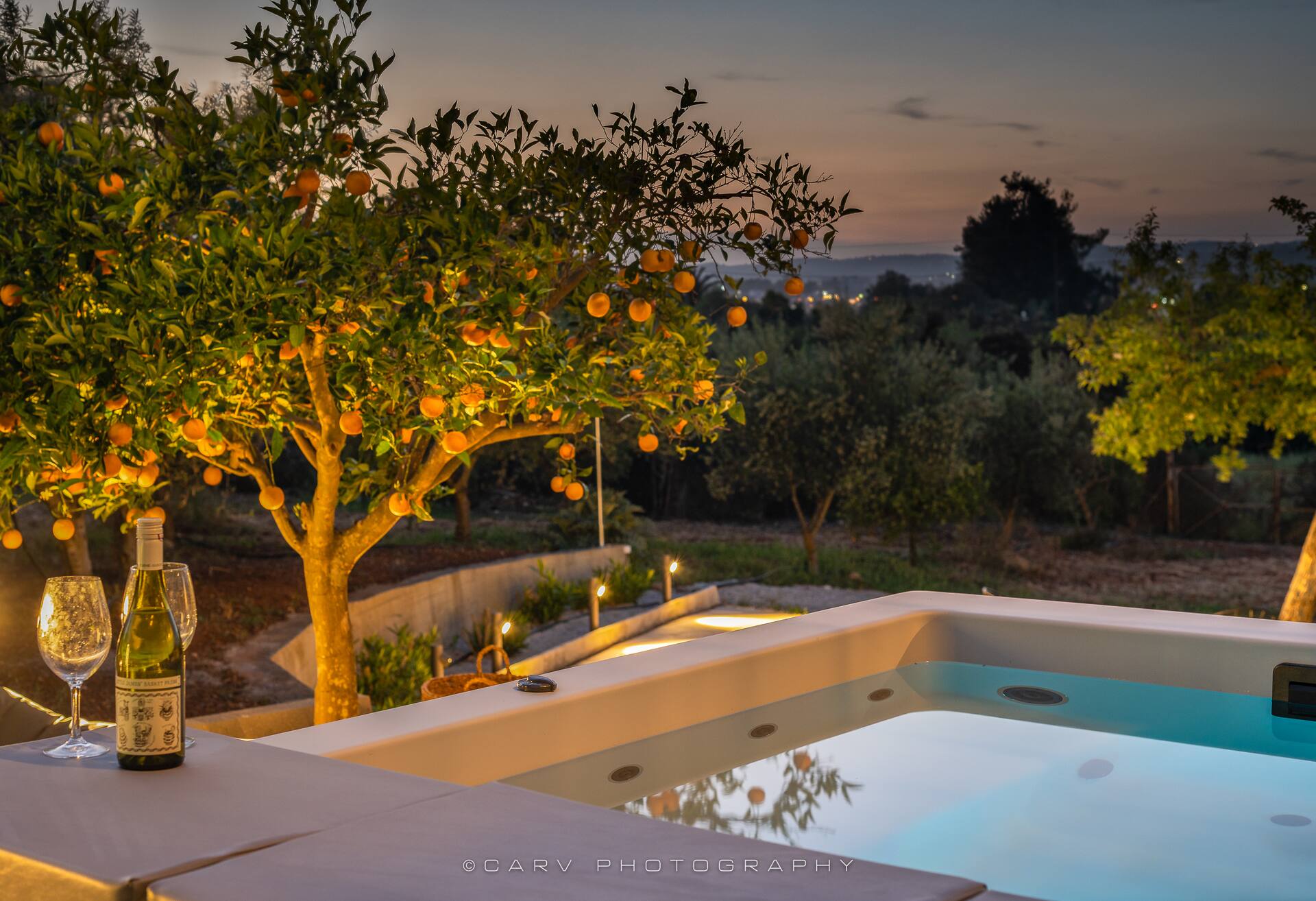 Orange Tree — photo 5