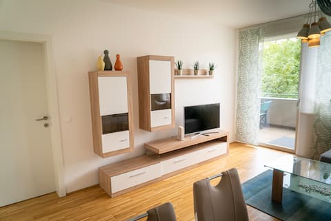 Successful Airbnb property: STYLISH FLAT, balcony, FREE parking, E-car fill in Eggenberg