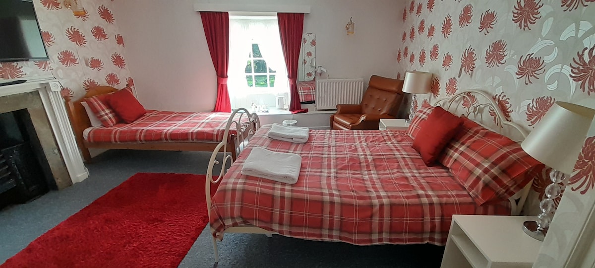 The family room includes a double bed and a sofa bed, both adorned with plaid bedding. A bright window allows natural light to fill the space, complemented by red and white floral wallpaper. A cozy armchair and bedside tables enhance the comfort of the room.