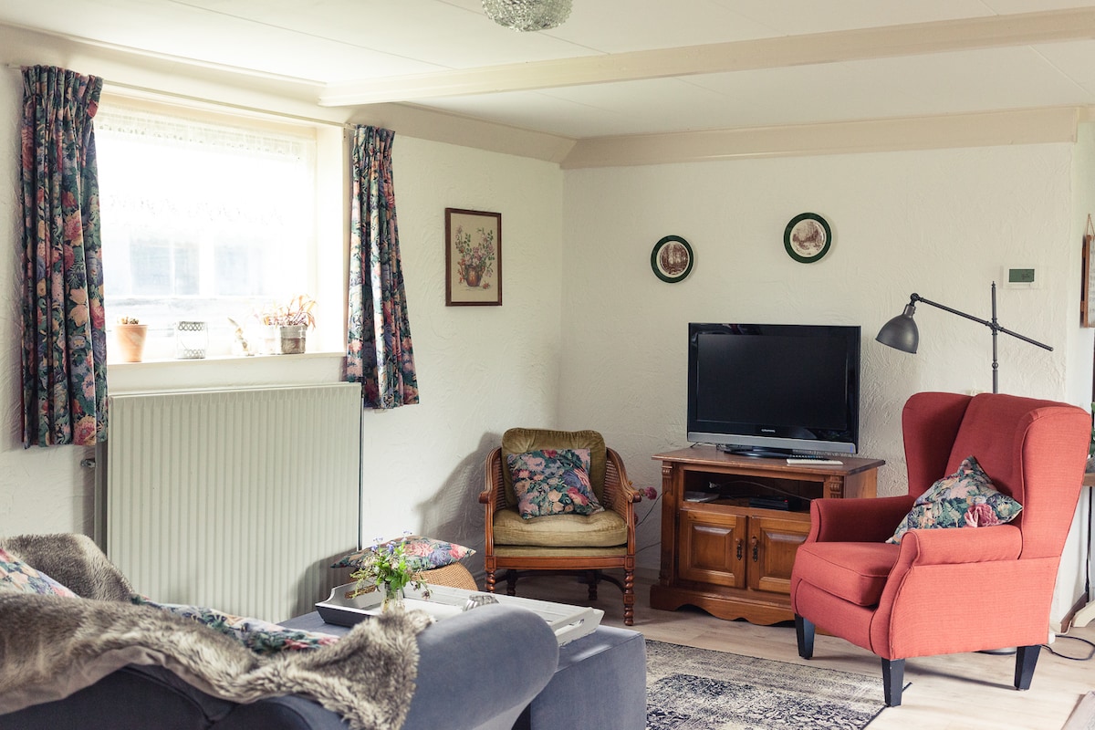 Successful Airbnb property: Quietly located vacation home in Wijk 01 Bosgebied En Krachtighuizen