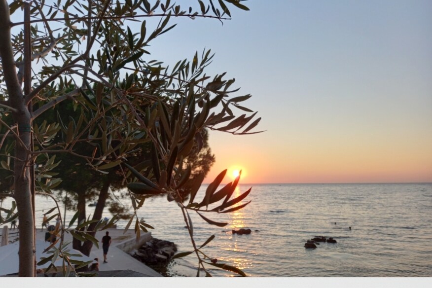 A serene coastline is captured at sunset, with the sun dipping below the horizon. Olive branches frame the scene, adding a natural touch. The calm sea reflects warm hues, while silhouettes of people can be seen enjoying the moment along the shoreline.
