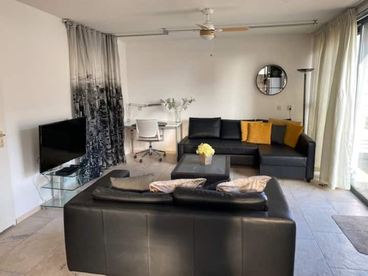 Apartment 15 car. van Scheveningen Gratis P Apartments for Rent in