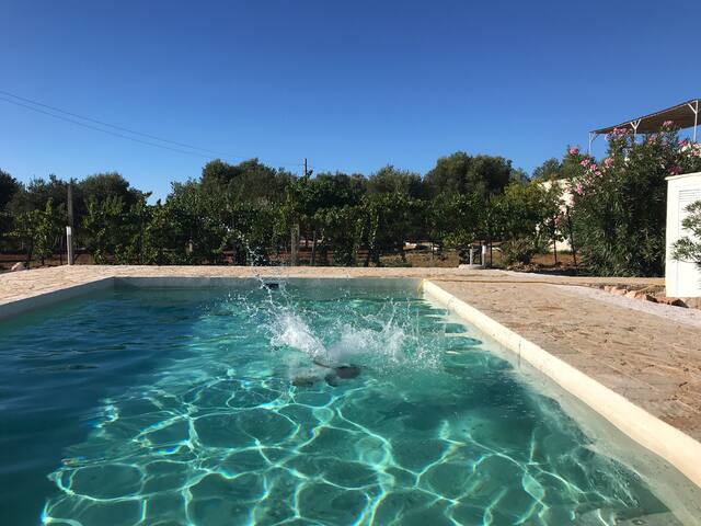 Trullo Sasamaka Puglia