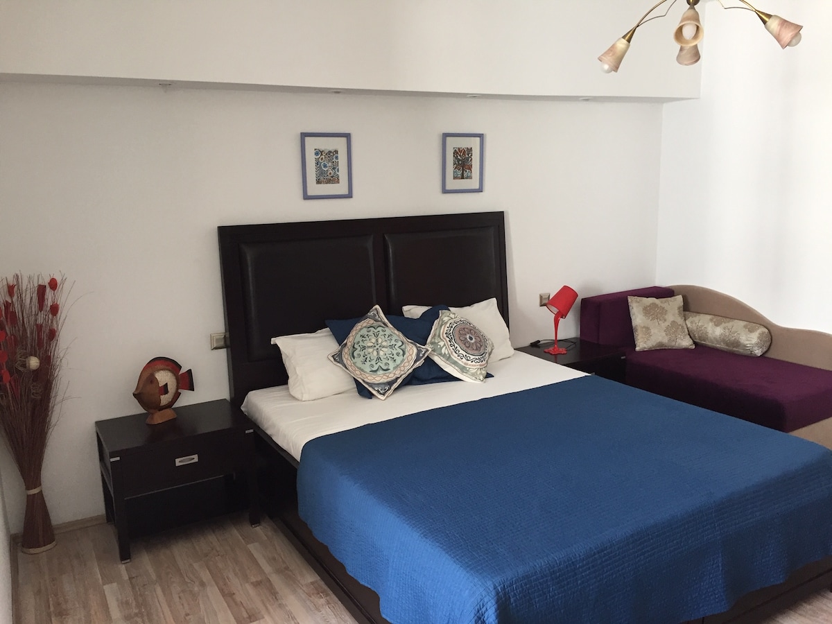 A spacious studio features a king-size bed dressed in a blue bedspread, accented by decorative pillows. A colorful artwork is displayed above the bed, while a purple sofa is positioned to the side. A bedside table and a decorative arrangement add warmth to the space.