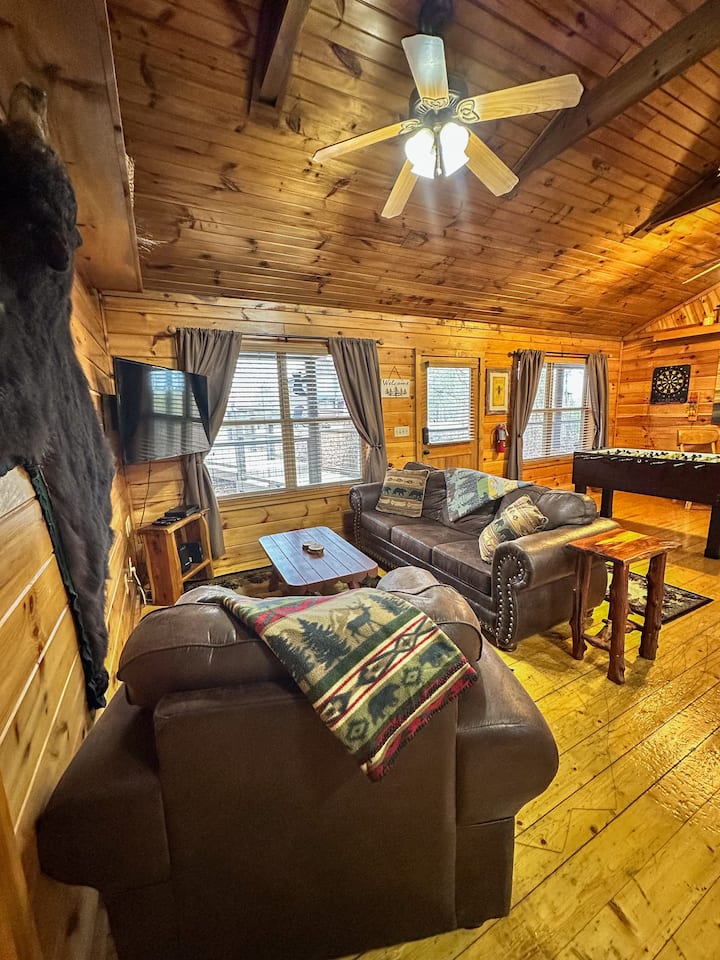Living room area - the couch pulls out into a queen bed