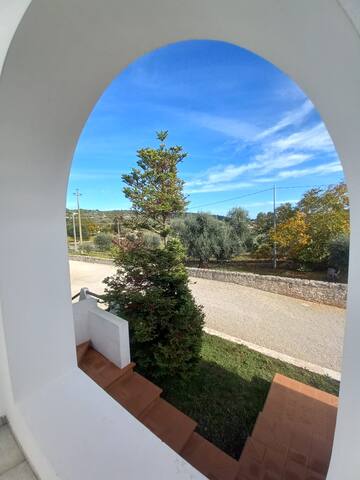 Villa Badessa, placed in a century-old olive grove gallery image 4