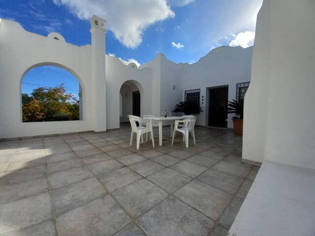 Villa Badessa, placed in a century-old olive grove gallery image 3