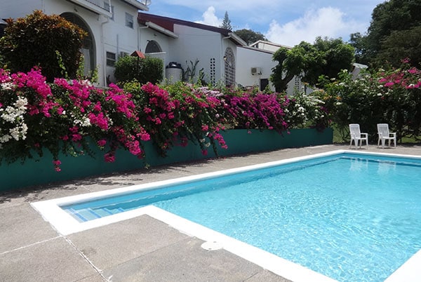 A warm shared pool is surrounded by vibrant pink and white bougainvillea flowers, creating a colorful backdrop. Two white chairs are positioned nearby on the pool deck, offering a place to relax. The clear blue water invites relaxation under the sun.