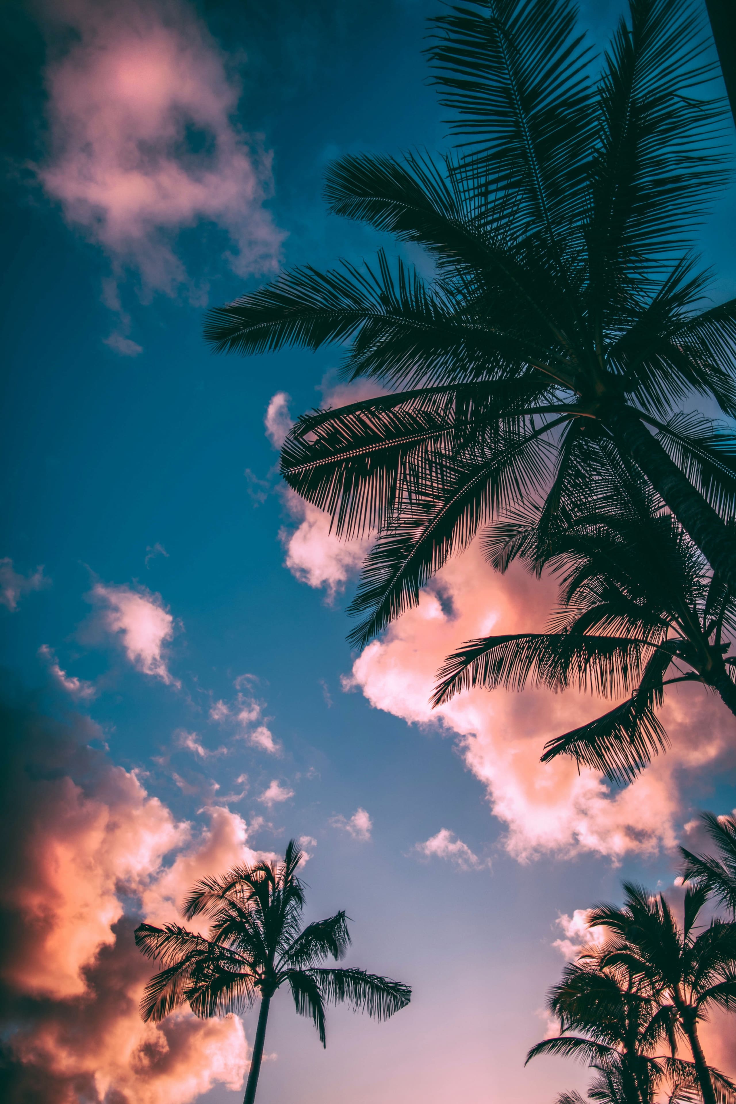 Romantic Suite | Tropical Escape | BBQ & Hot Tub - Image 53
