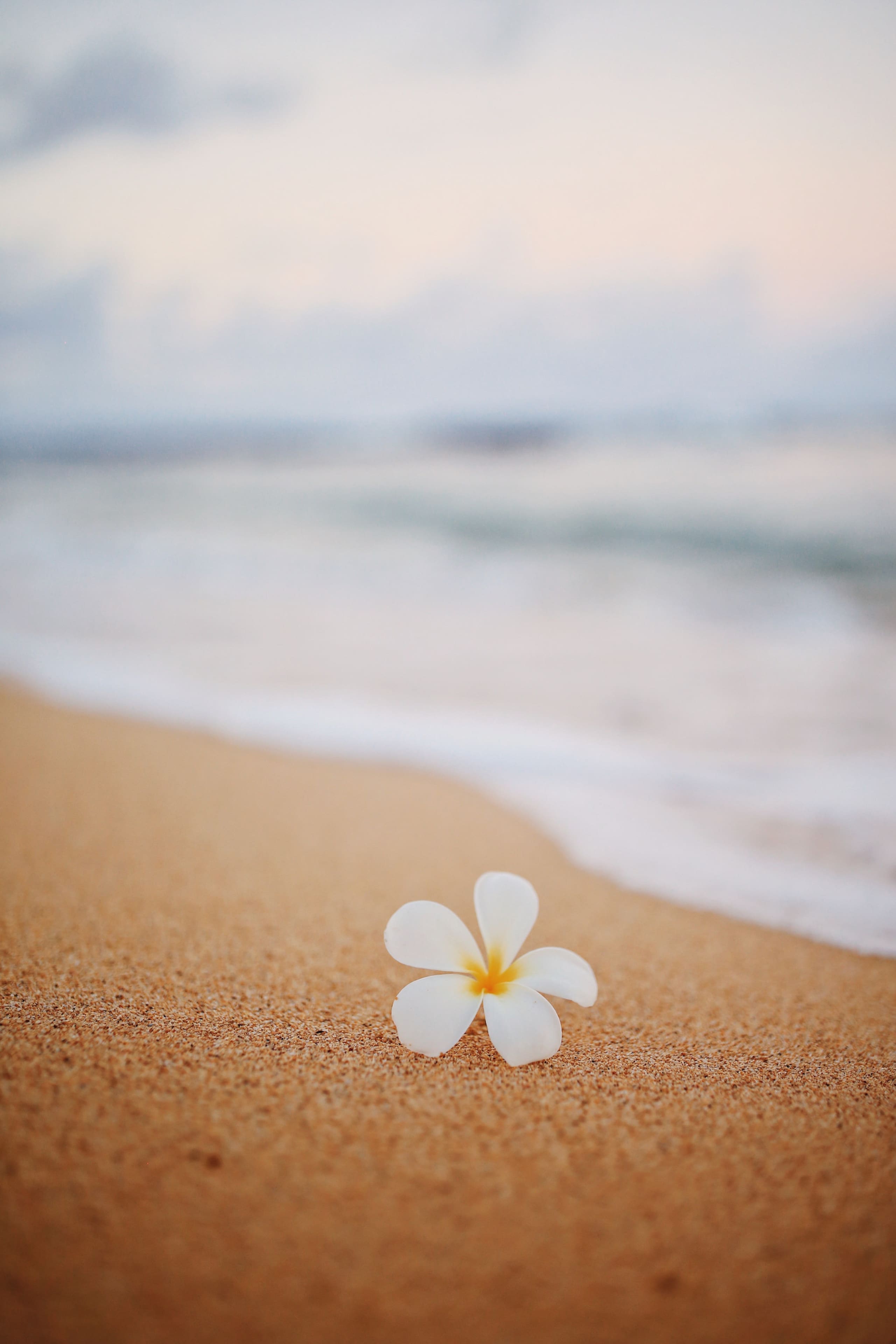 Romantic Suite | Tropical Escape | BBQ & Hot Tub - Image 42