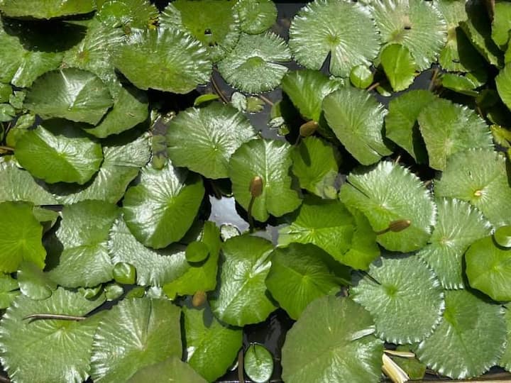 Top 14 Airbnb Vacation Rentals In Banjul, Gambia Updated 2024 Trip101