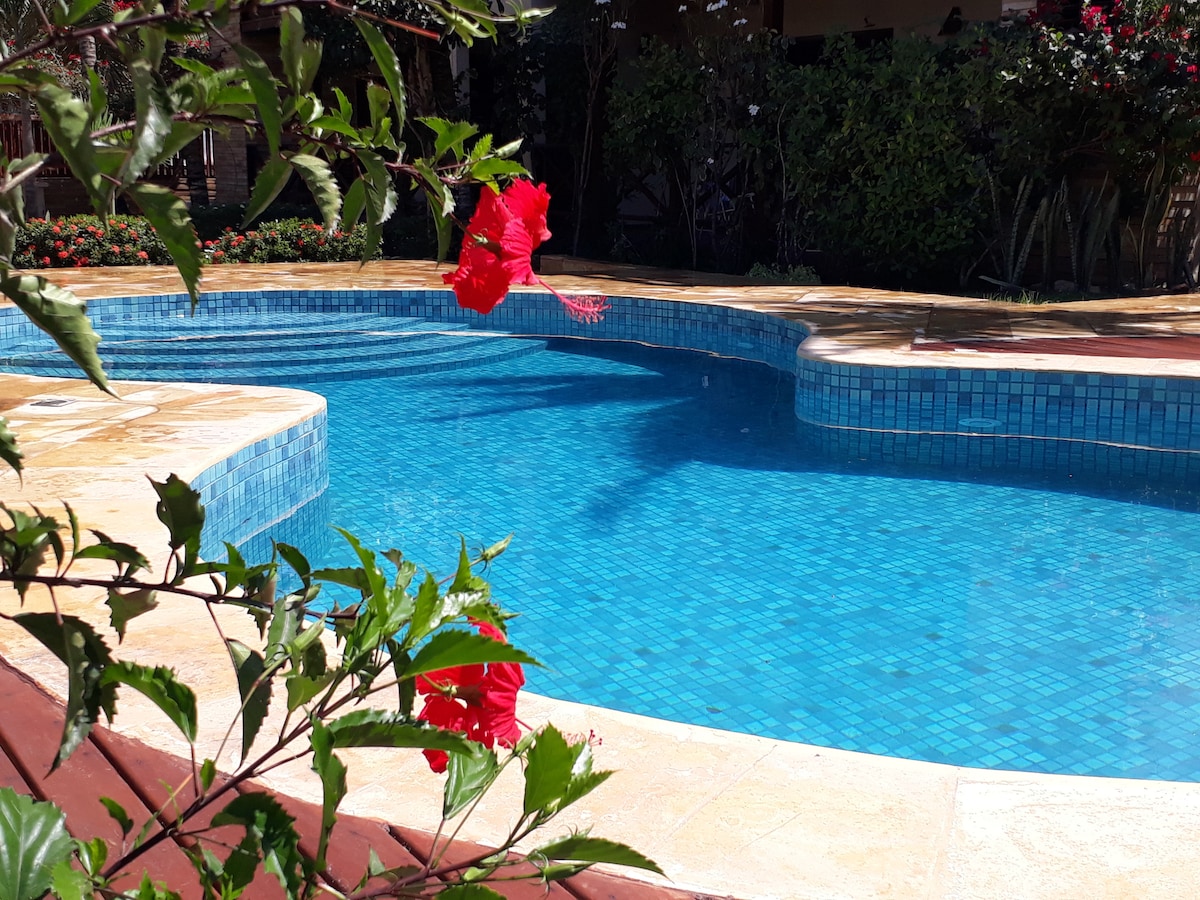 A clear blue pool is surrounded by stone surfaces and colorful foliage. Red hibiscus flowers are visible in the foreground, adding a touch of natural beauty to the inviting outdoor space.