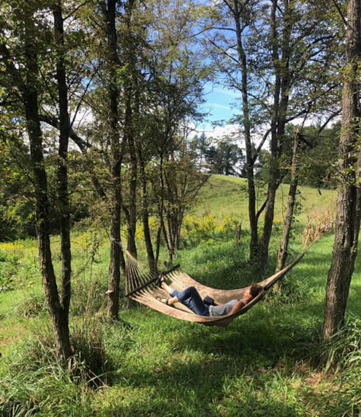 Top 10 Tiny Houses For Rent Near Marshall, North Carolina Updated