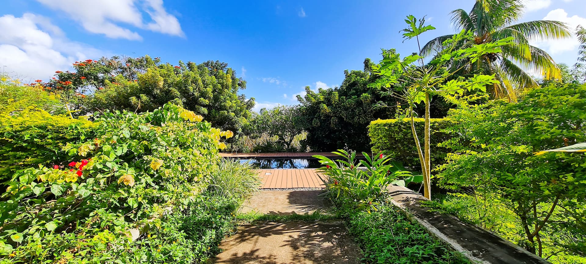 Vert d'o: Refined eco-retreat with natural pool