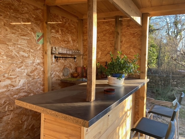 A wooden bar area features a sleek countertop, supported by a central post. Shelves hold various kitchen items, while a potted plant is placed prominently on the surface. Natural light filters through, illuminating the textured walls made of oriented strand board.
