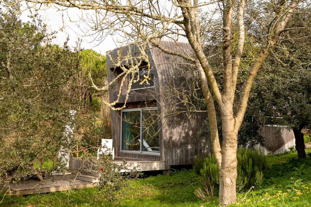 A modern wooden house is set amidst lush greenery, surrounded by trees. Large windows provide natural light to the interior, while a slight overhang of the roof creates an inviting entryway. The structure blends harmoniously with its natural surroundings.