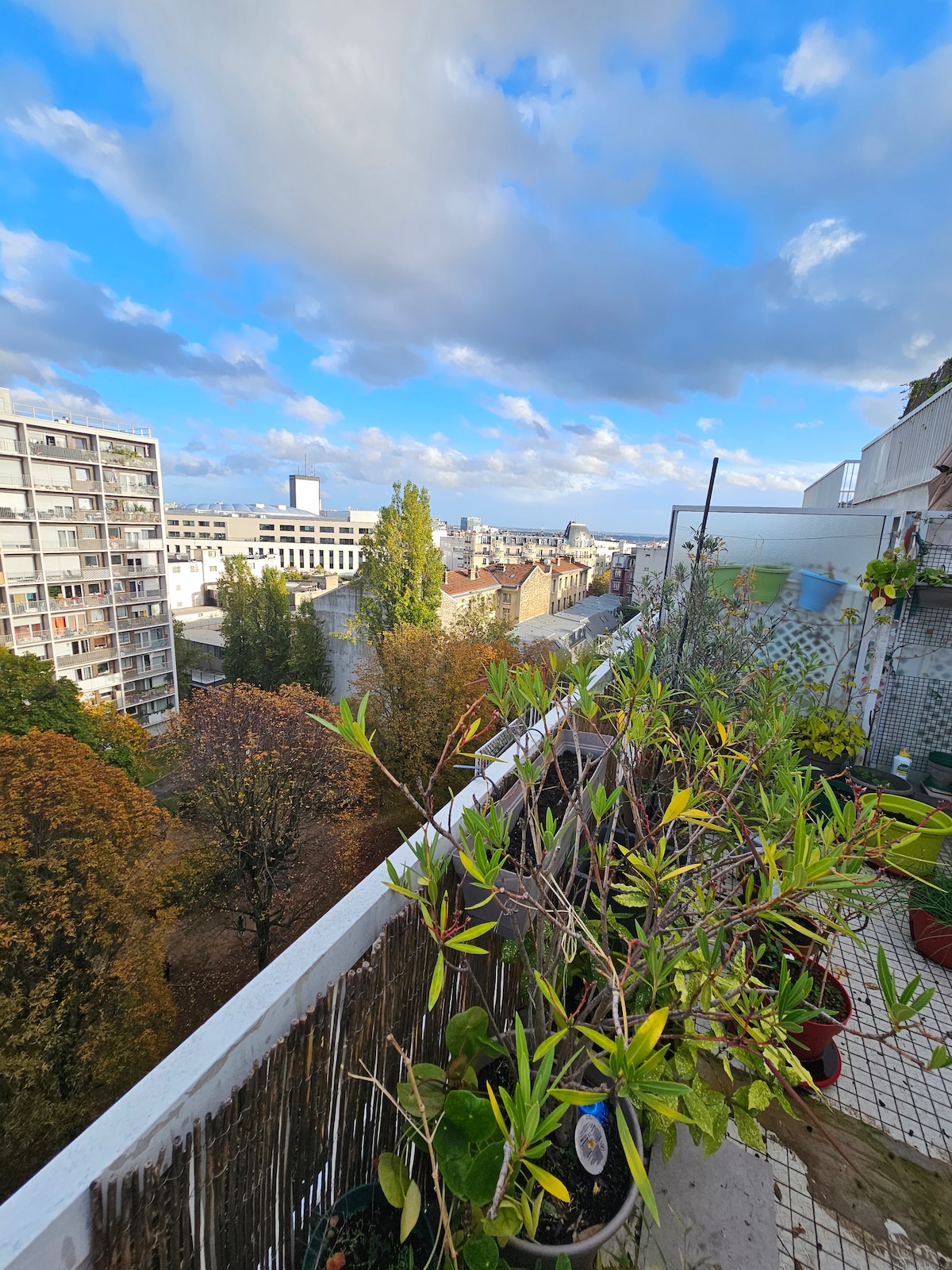 A terrace view showcases a city landscape with tree-lined streets and mixed architecture. Potted plants adorn the balcony's edge, adding greenery to the urban scene. The bright blue sky is scattered with clouds, enhancing the serene ambiance.