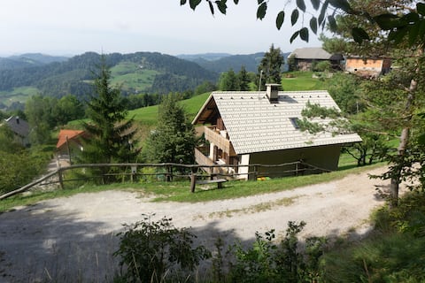 Alpaca's Barn - Surrounded by Animals