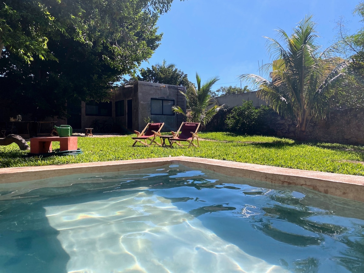A clear view of a tranquil pool reflects the blue sky. Surrounding greenery includes tall palm trees and a spacious lawn with two loungers facing the garden. A rustic building is visible in the background, framed by lush foliage.