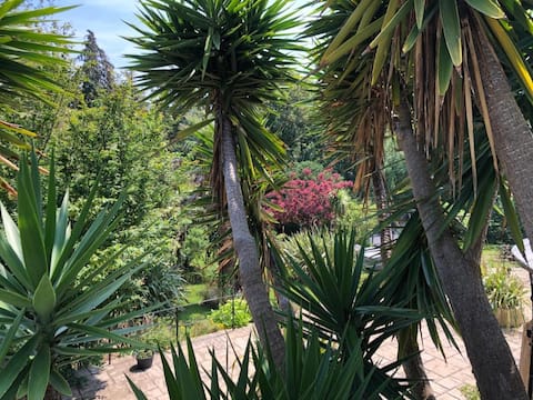 Top Airbnb: Little Gem with Hot Tub and Ferry discount. in Shanklin