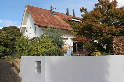 Charming bright house in Rolle