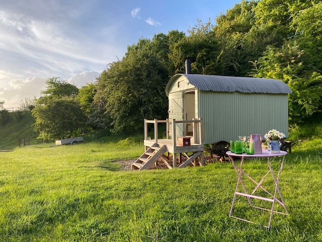 A charming green shepherd's hut is positioned on a grassy area, surrounded by trees. A small wooden deck leads to the entrance, while a pink table with a vase of flowers is set nearby, inviting moments of relaxation outdoors.