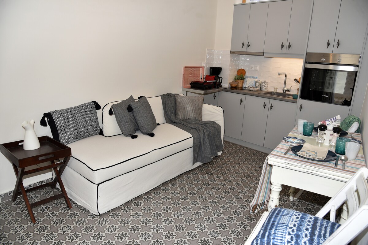 Ღია გეგმა სამზარეულო სასადილო (გასაშლელი დივანი) 