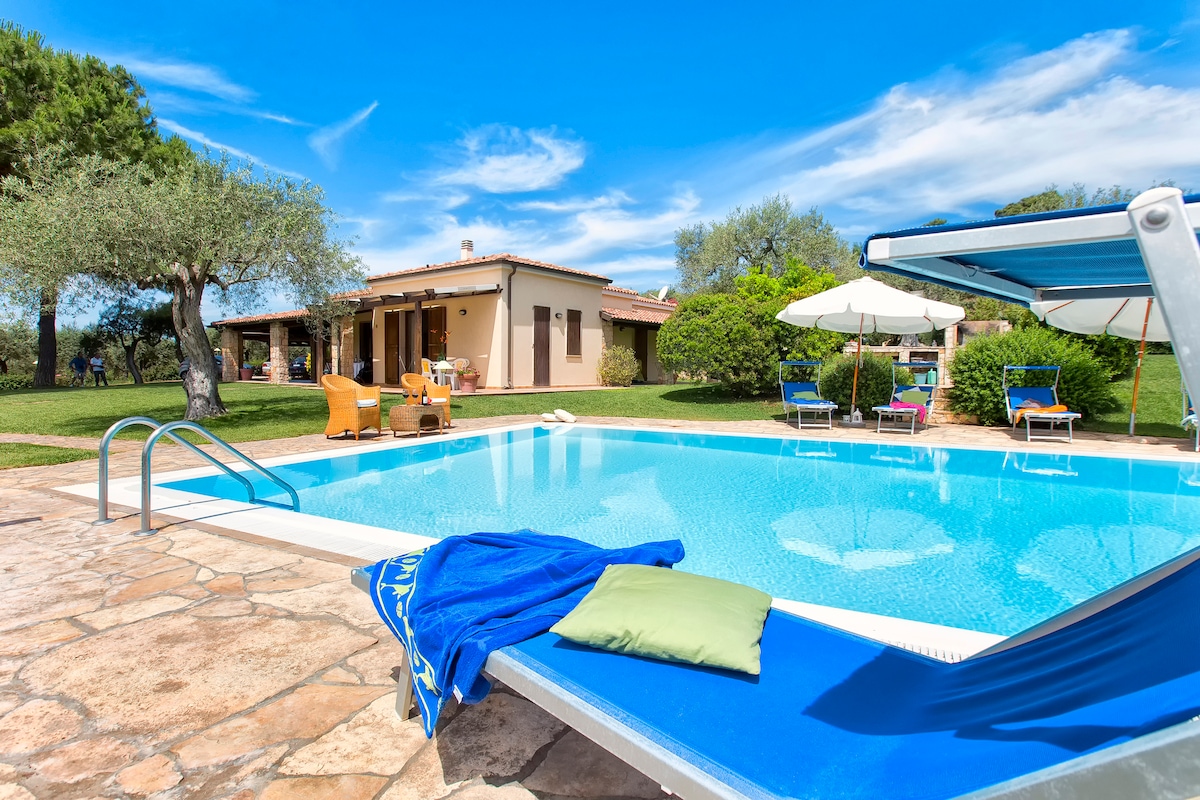 A tranquil infinity pool is positioned adjacent to the villa, surrounded by sun loungers and umbrellas, providing a relaxing outdoor space. Lush greenery and olive trees enhance the view, with the villa seen in the background against a clear blue sky.