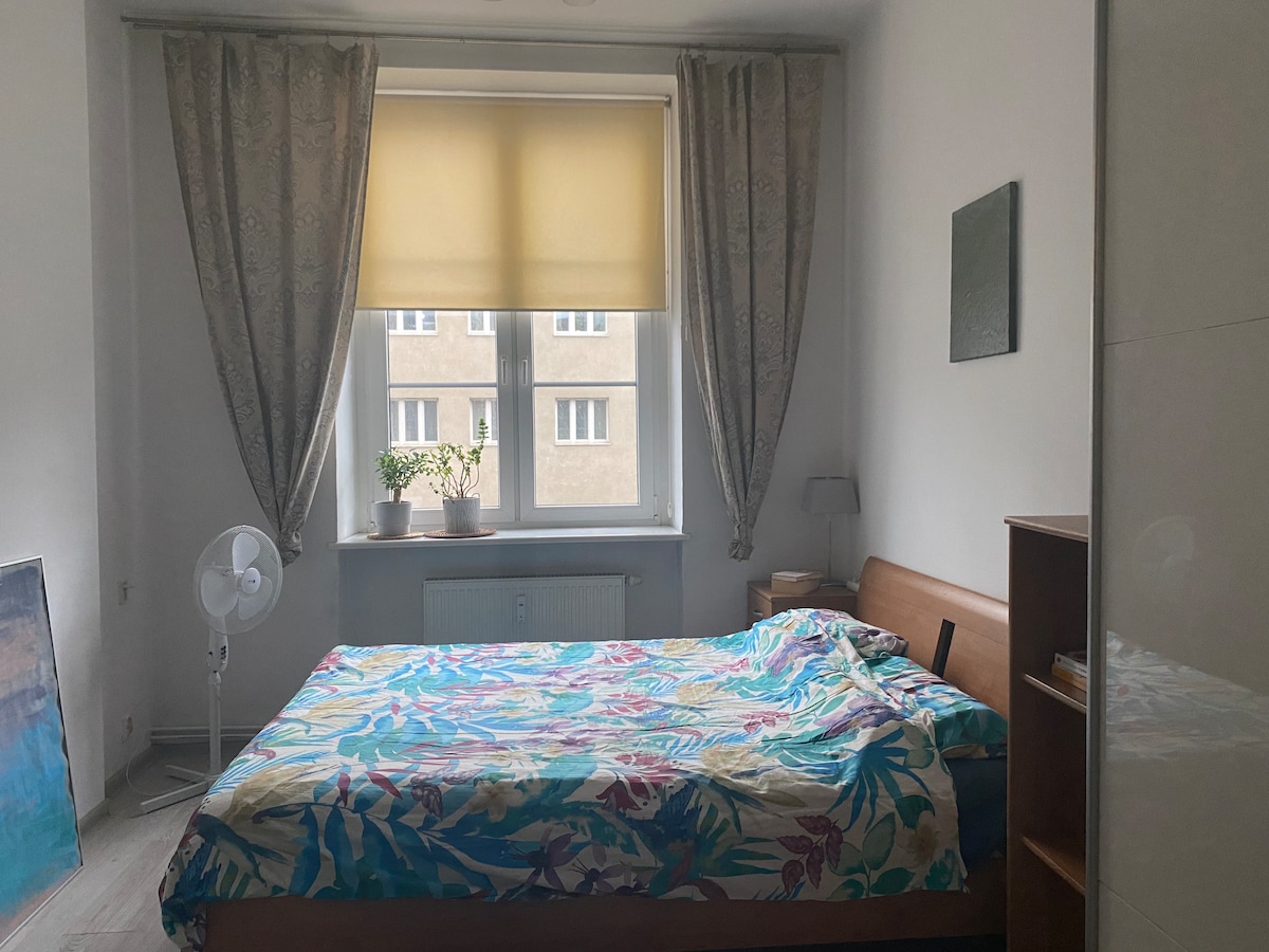A spacious bedroom features a large bed adorned with colorful bedding. Natural light enters through a window with light-filtering curtains. A fan is present nearby, alongside a bedside table and a plant, creating a serene and functional space.
